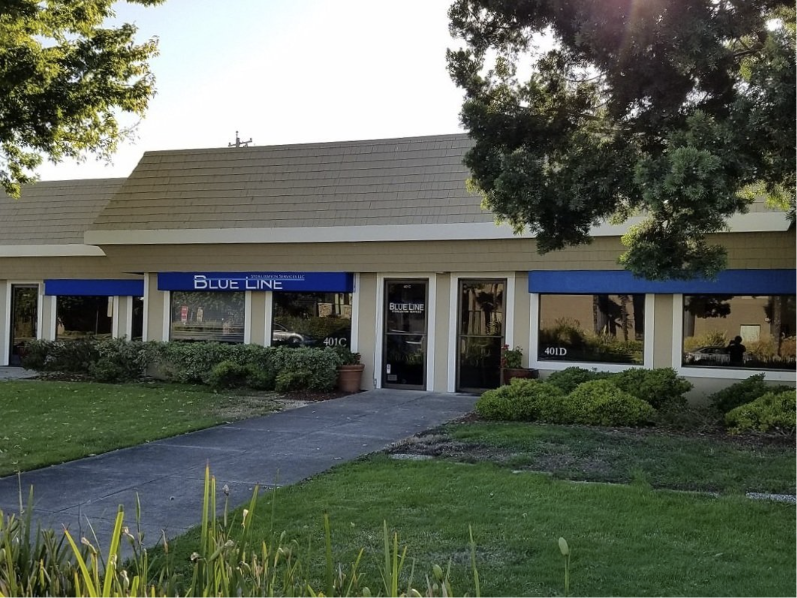 Blue Line main image